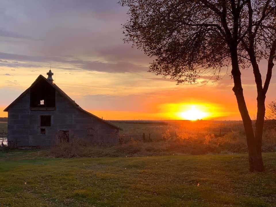 Sunrise on the farm!