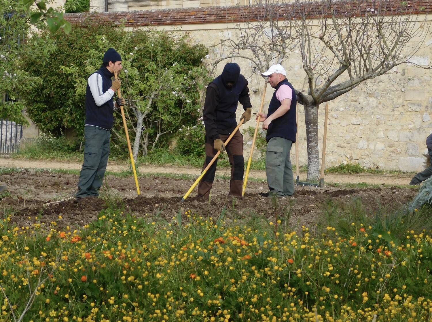 The Gardeners