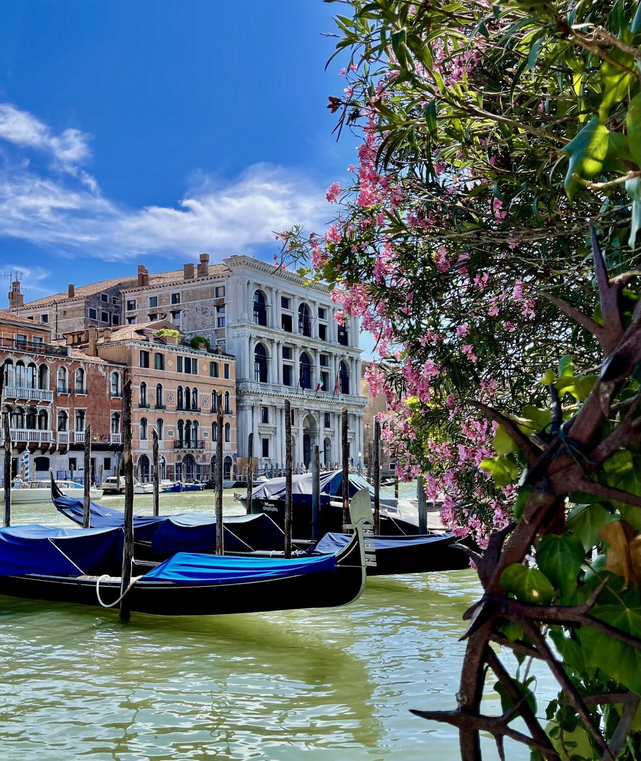 Beauty along the Canal