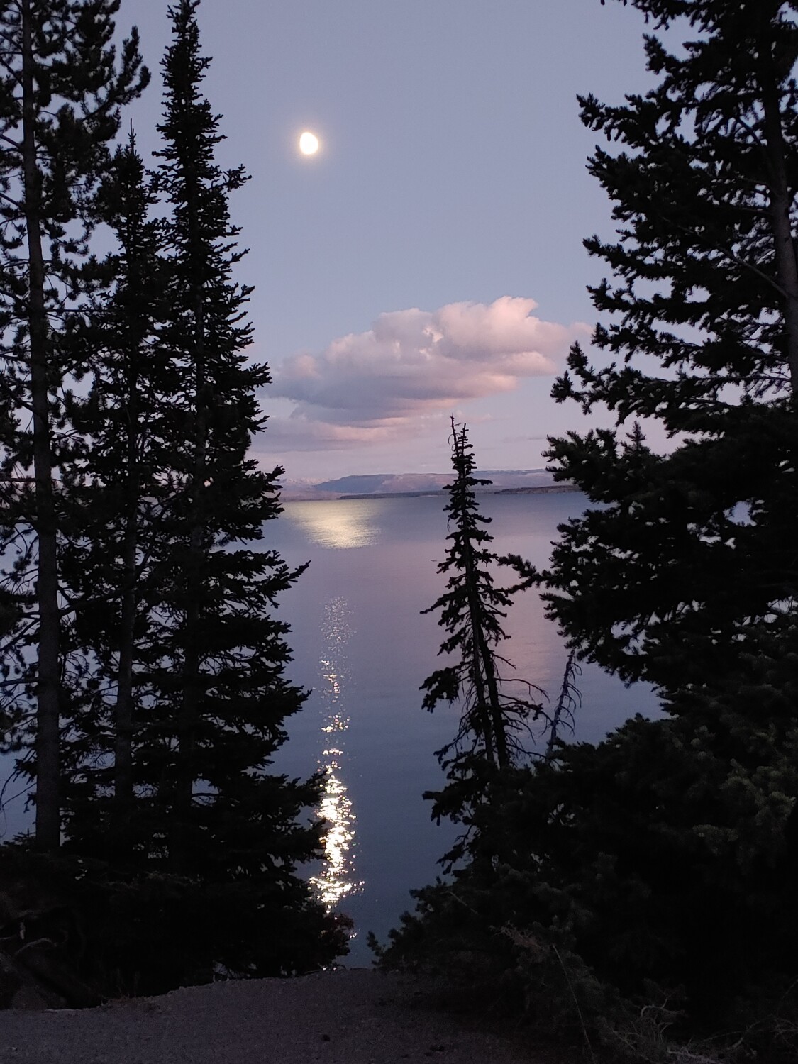 Lake Yellowstone Shades of Evening