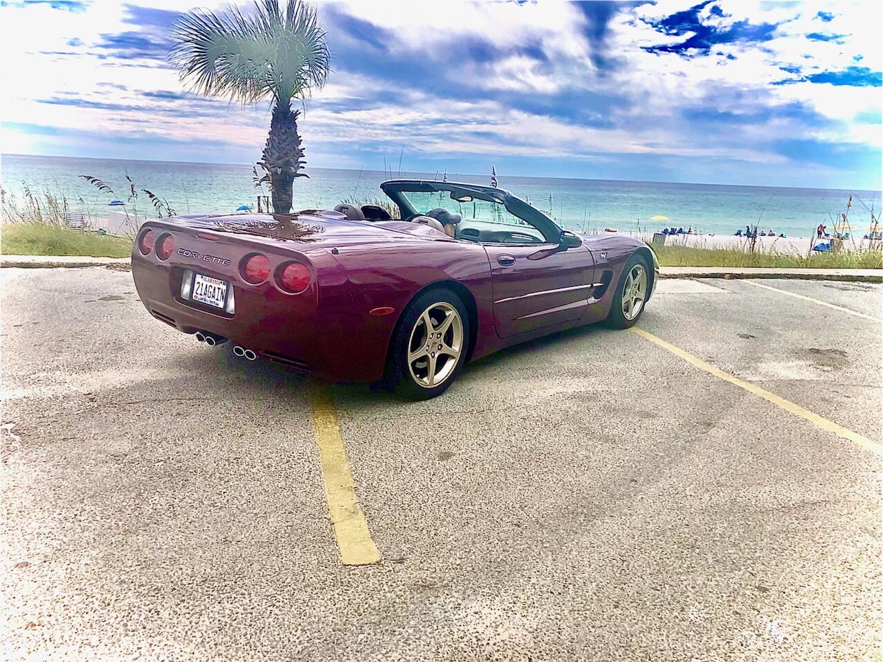 Beautiful day at the beach