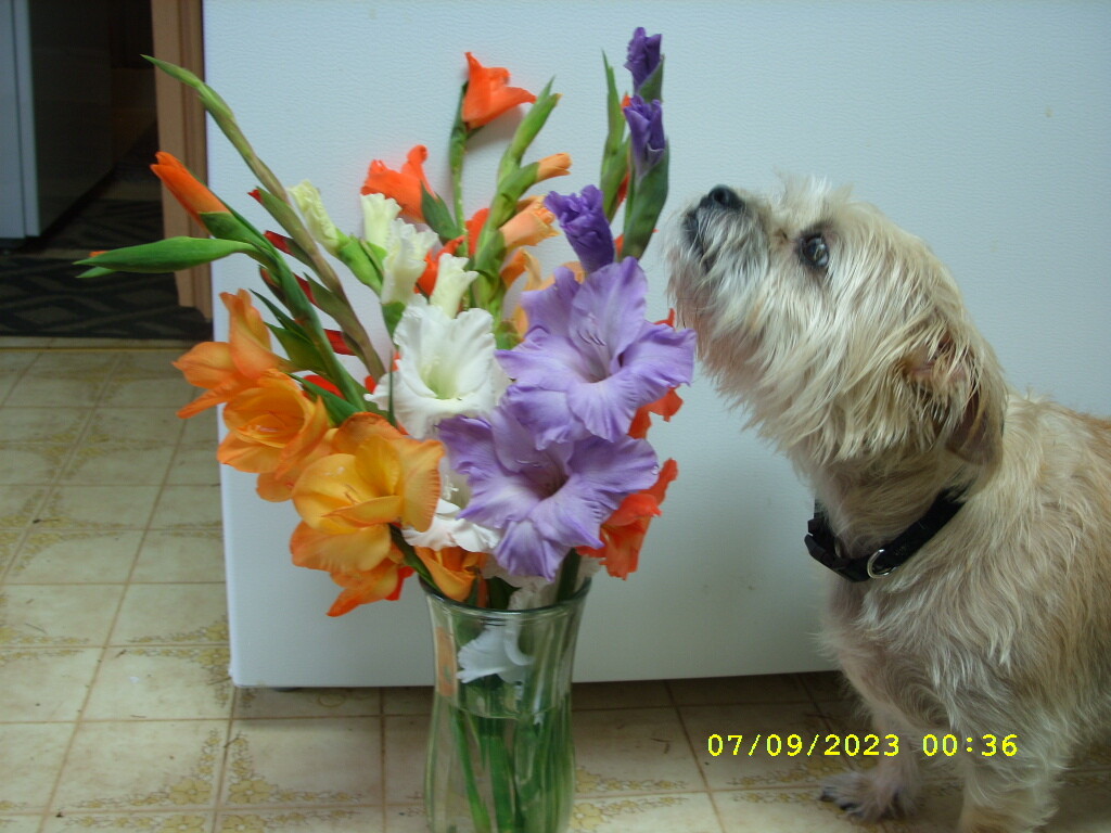 ALWAYS STOP AND SMELL THE FLOWERS