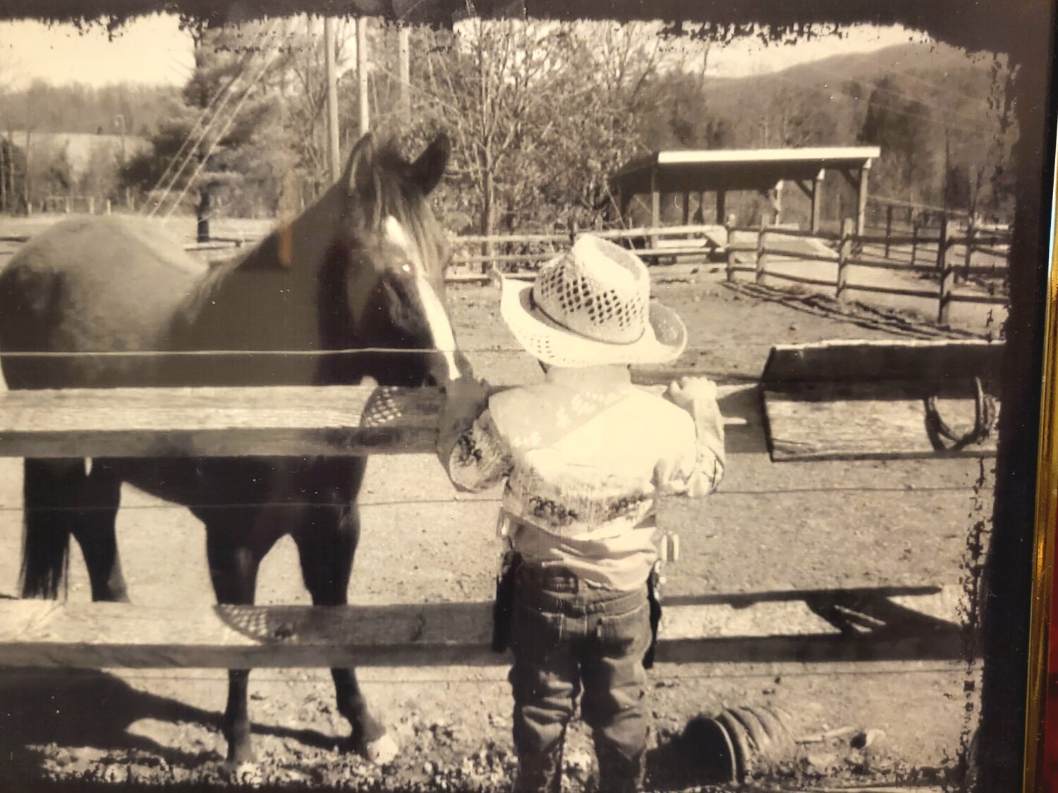 Cowboy checking out his horse