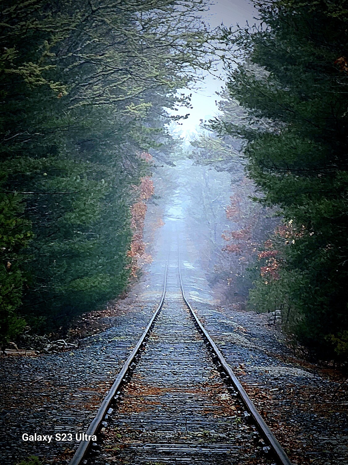 Foggy Tracks