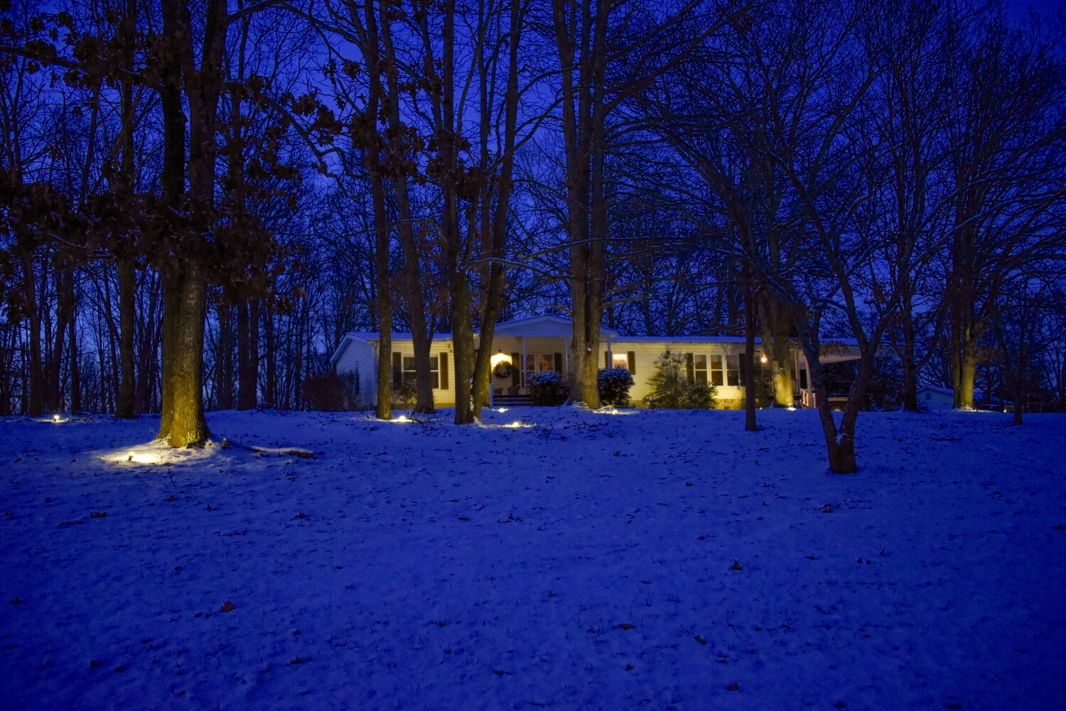 Snow scene at night