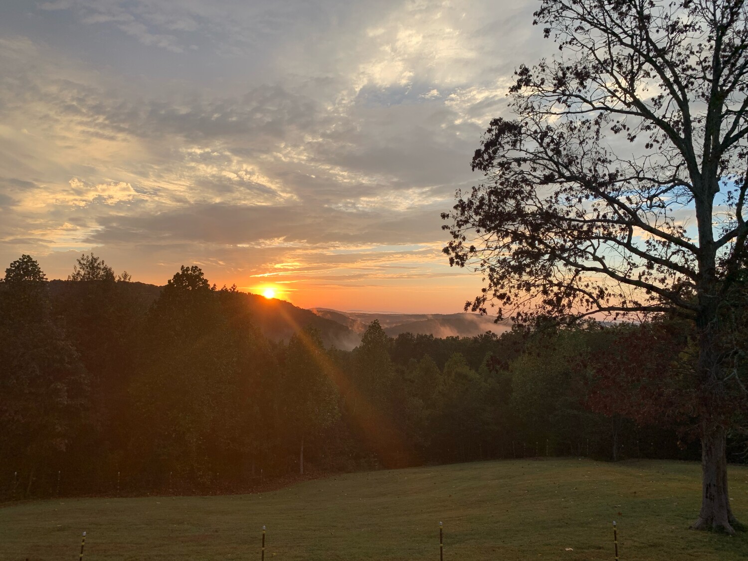 My backyard scenery is beautiful