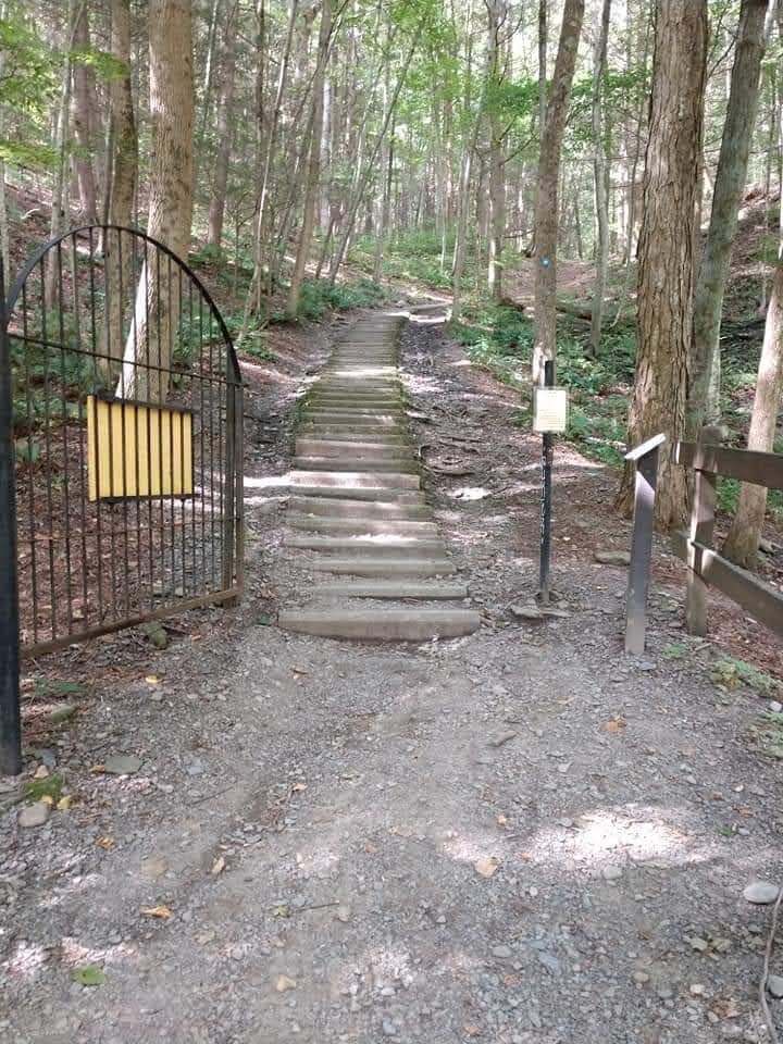 Stairway to Amazing View