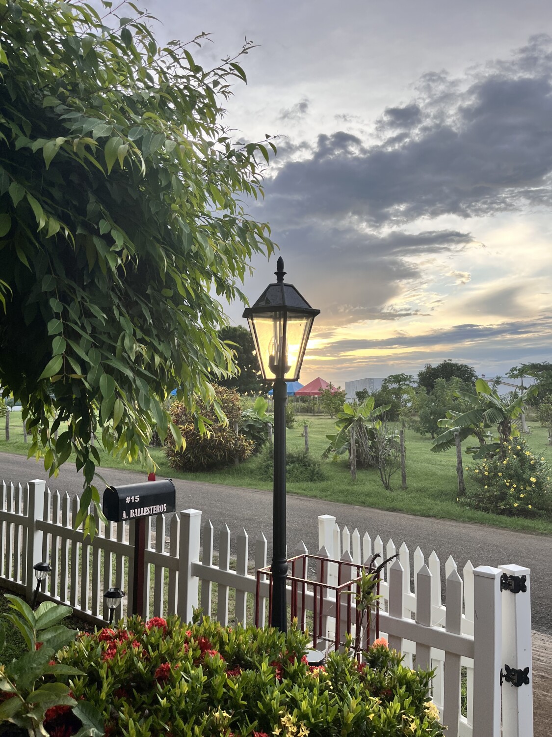 Capturing the sunlight