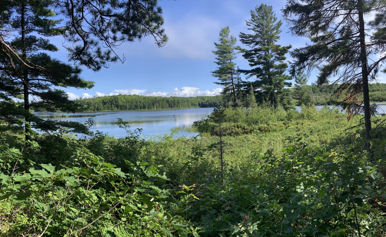 Upper peninsula Michigan USA