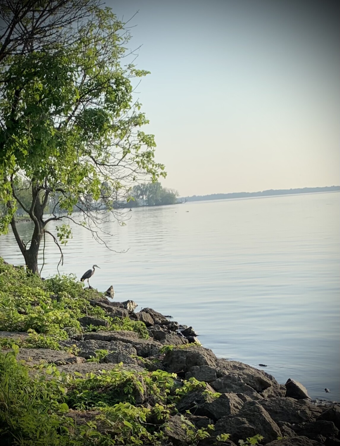 Presque Isle State Park, Erie PA