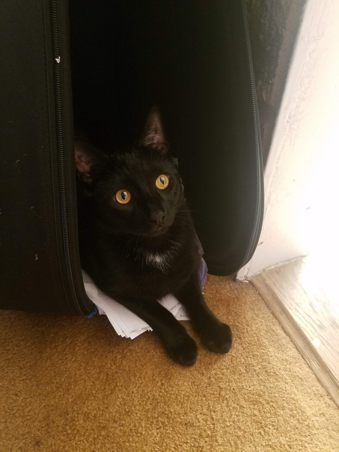 Waiting to jam with Daddy