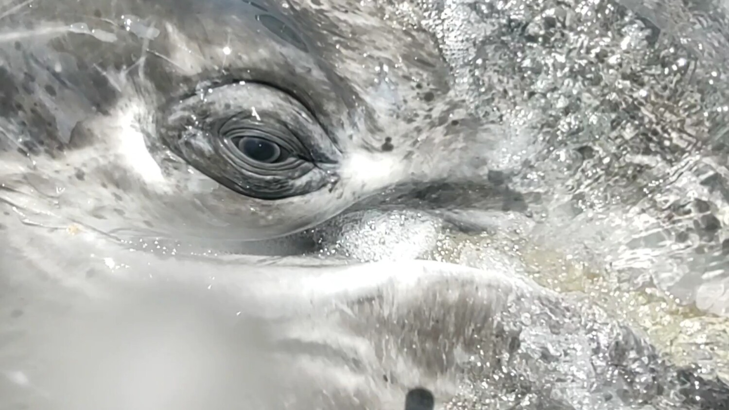 Finding God in the Ocean