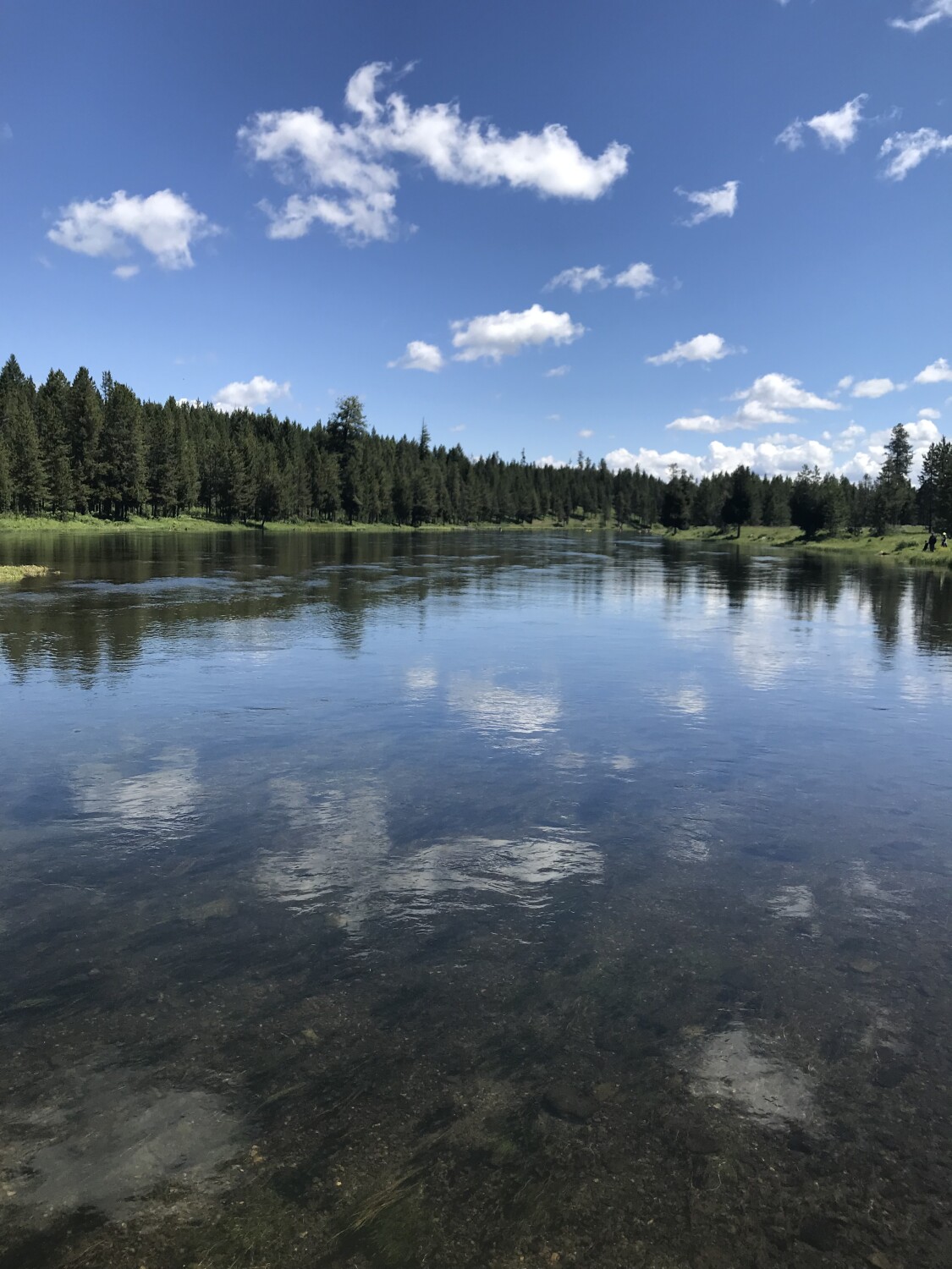 Peaceful Reflections