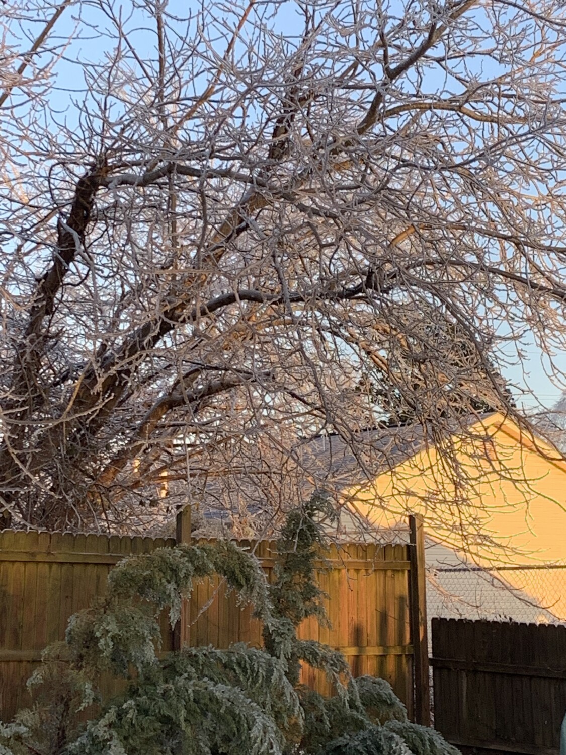 Unusual ice storm in Mississippi