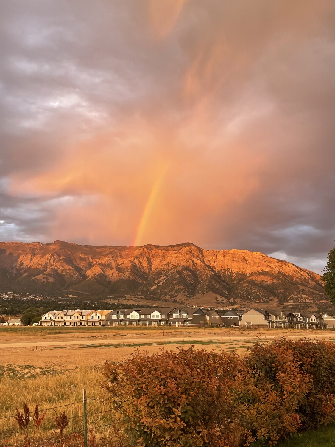 America’s Favorite Photos Competition Page My backyard Deanna