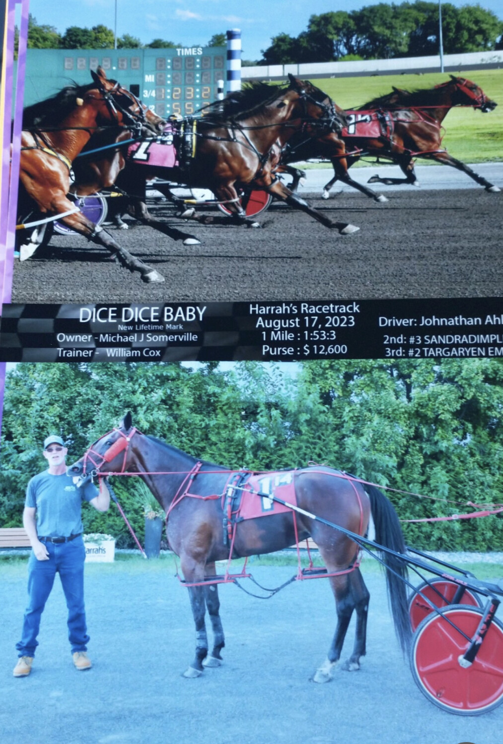 And the Winner is,,,,,,