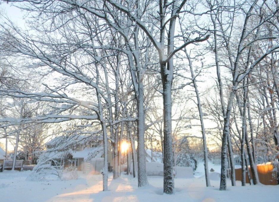 Snowy Day