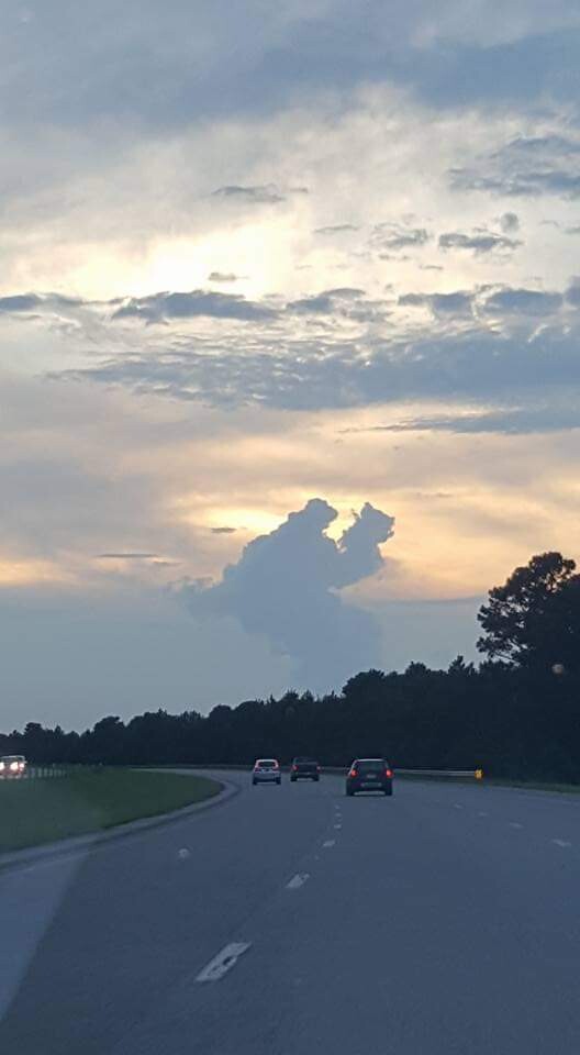 Thank you for your Service