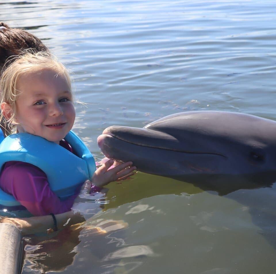 Swimming with Dolphins