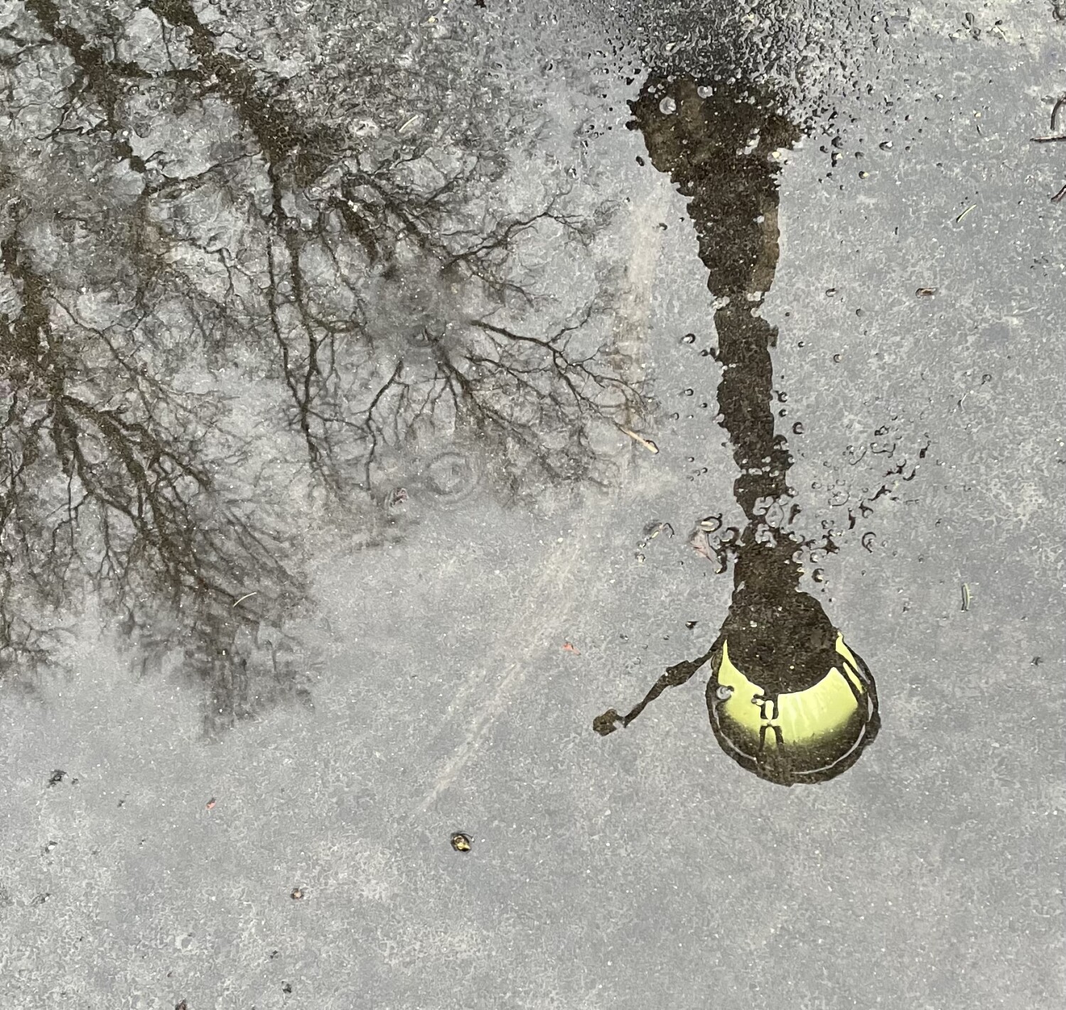 A Rainy Morning Reflection