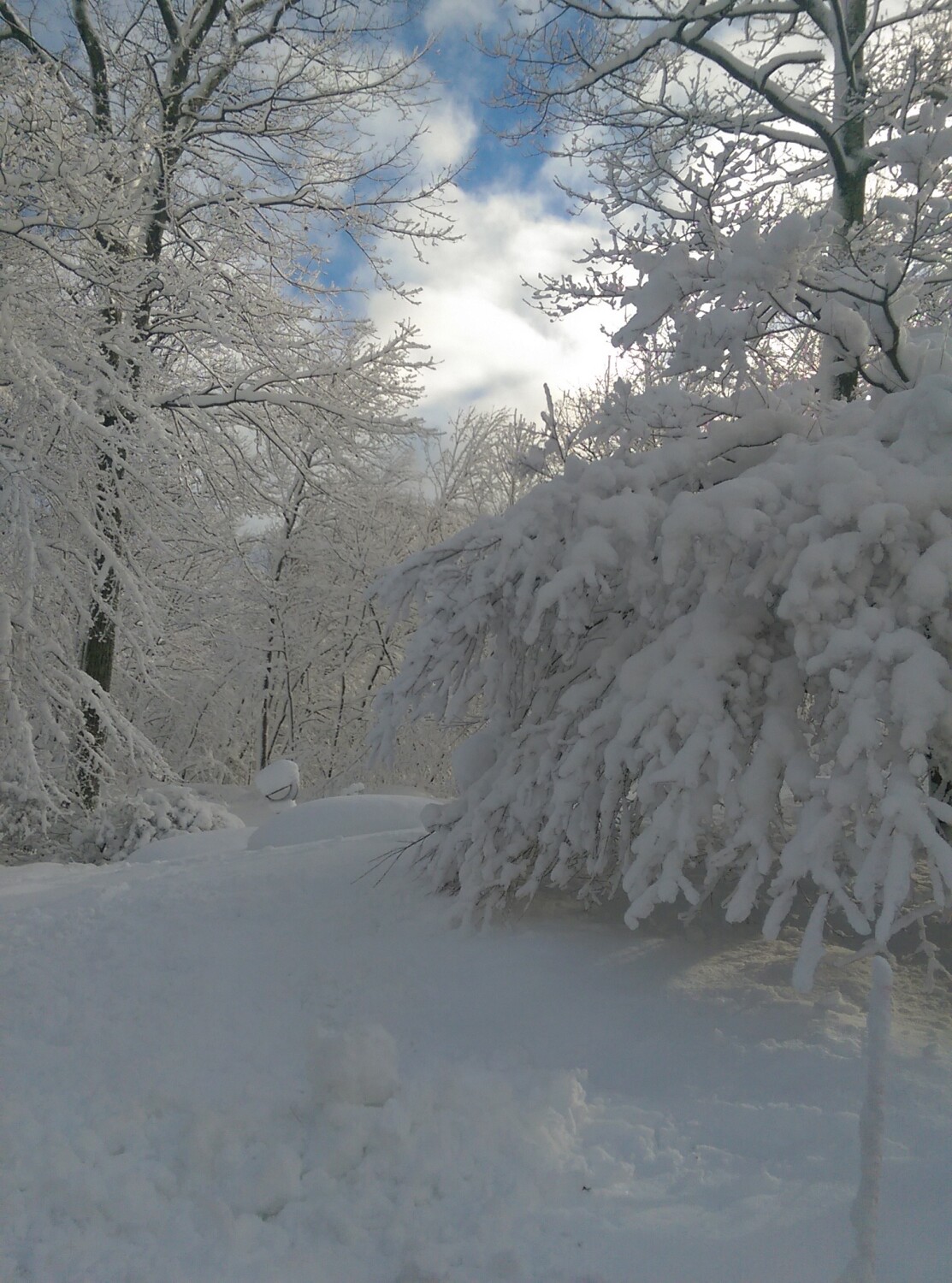 Winter in Connecticut
