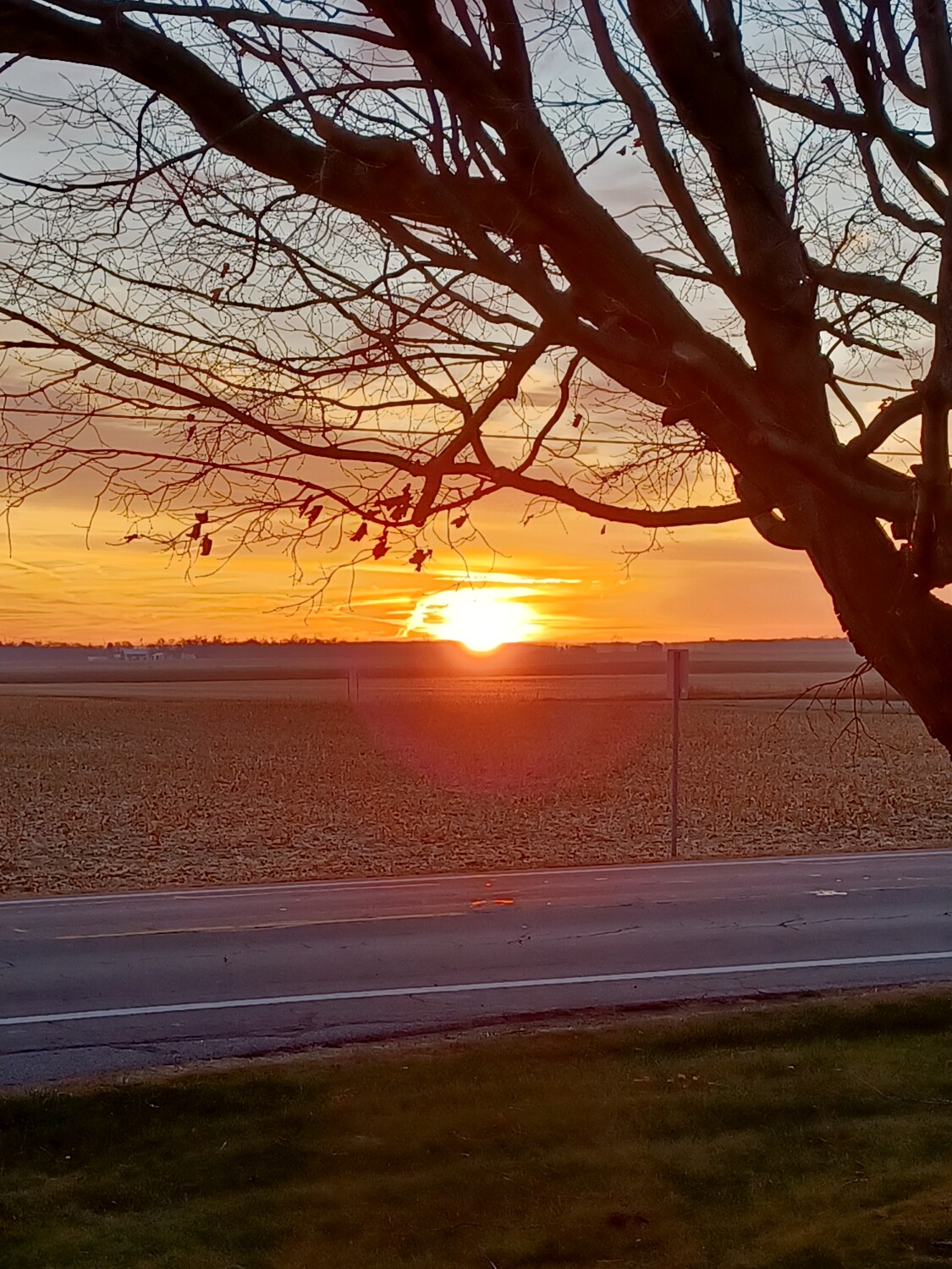 "Sunrise on the farm"