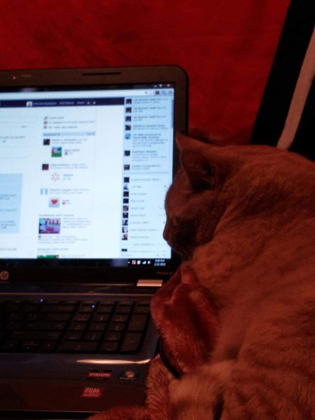 Garfield on my labtop