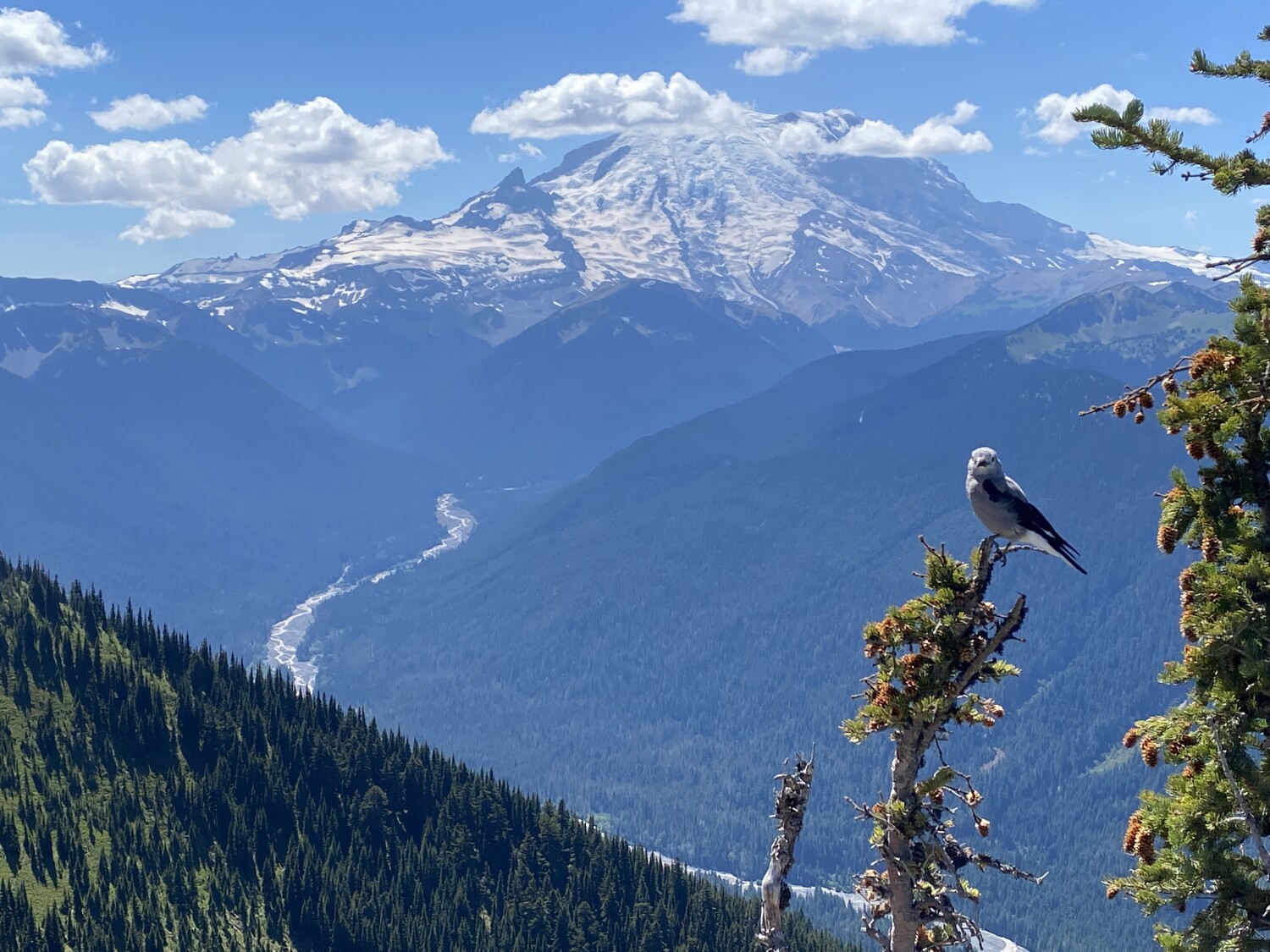 Mount Rainier, in Washington State