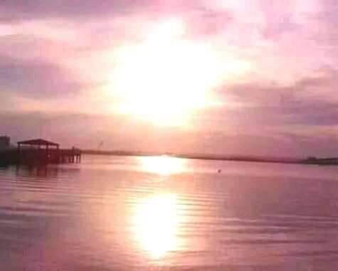 Sparkling Sunshine on the Bay