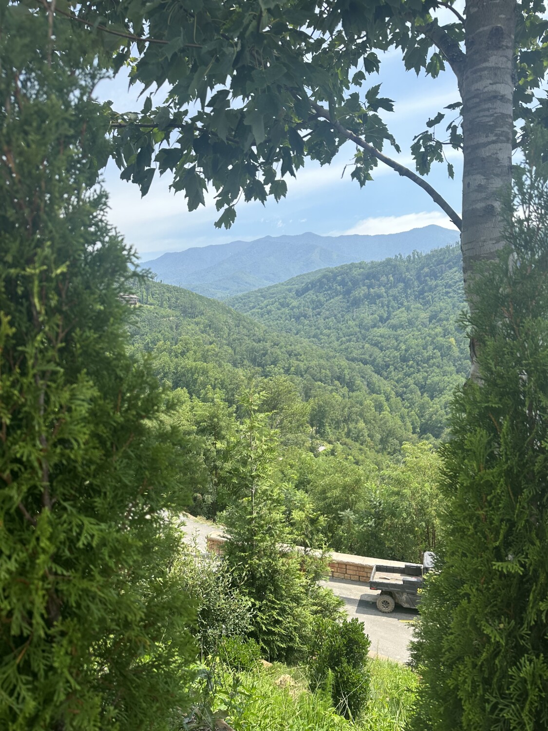 The beauty of the smokies