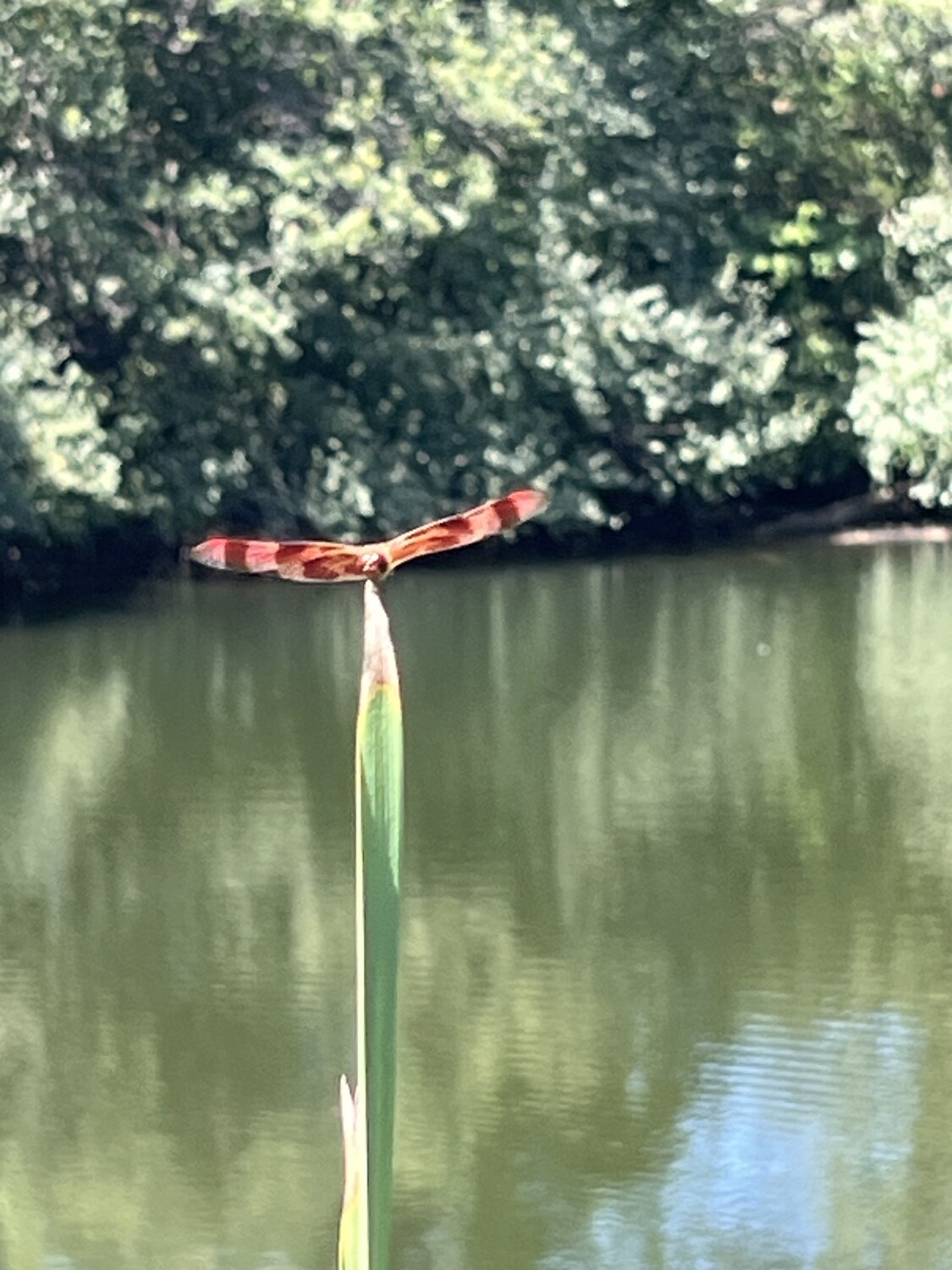 Lake time in Missouri