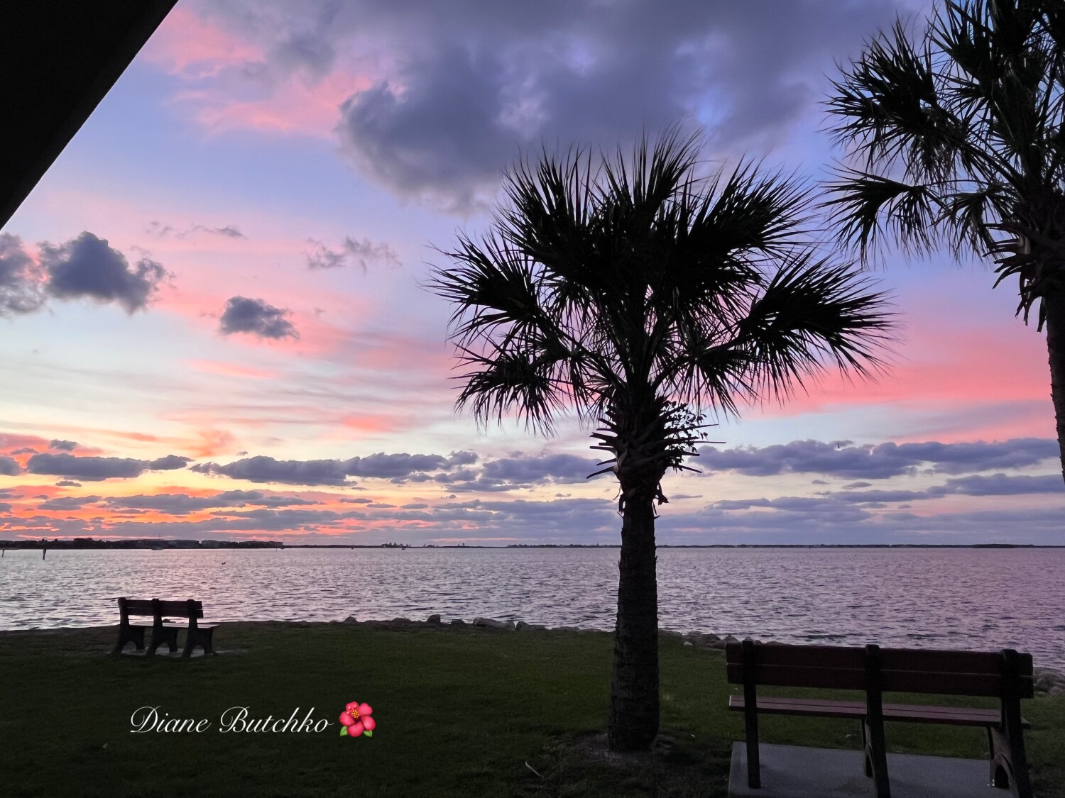 Peaceful Easy Living