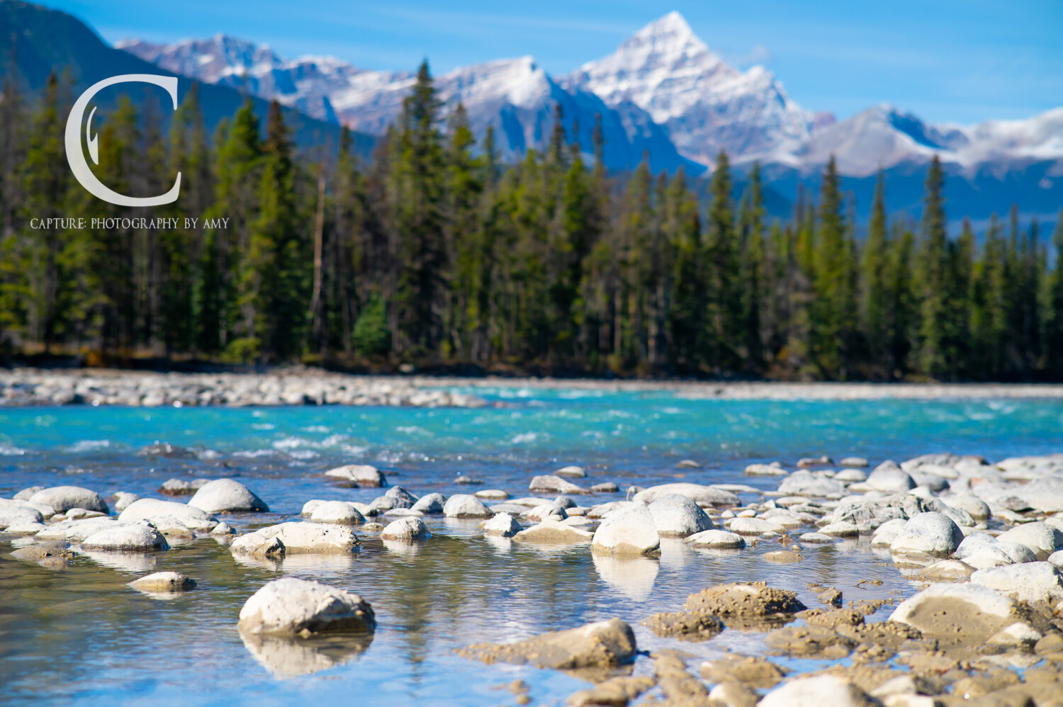 Athabasca River in Alberta, Canada