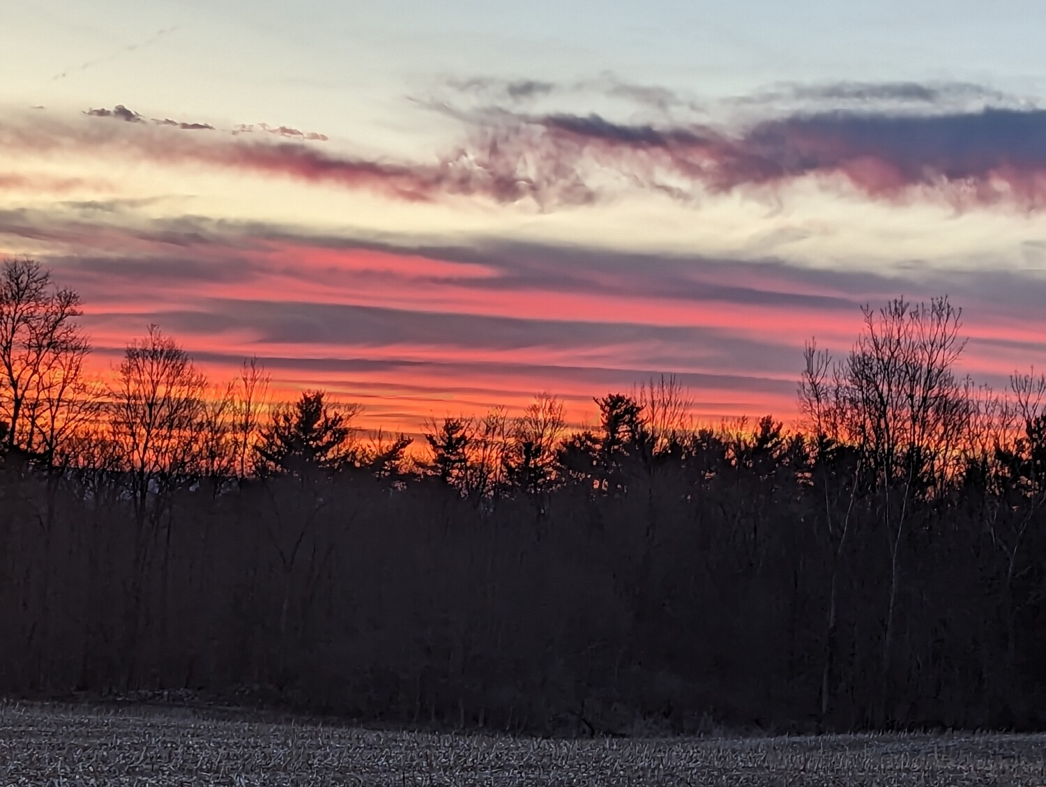 Beauty in the Valley