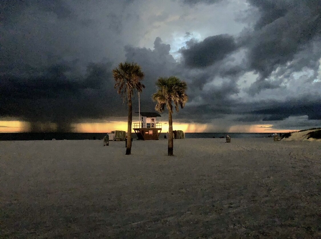 Weathering  the storm