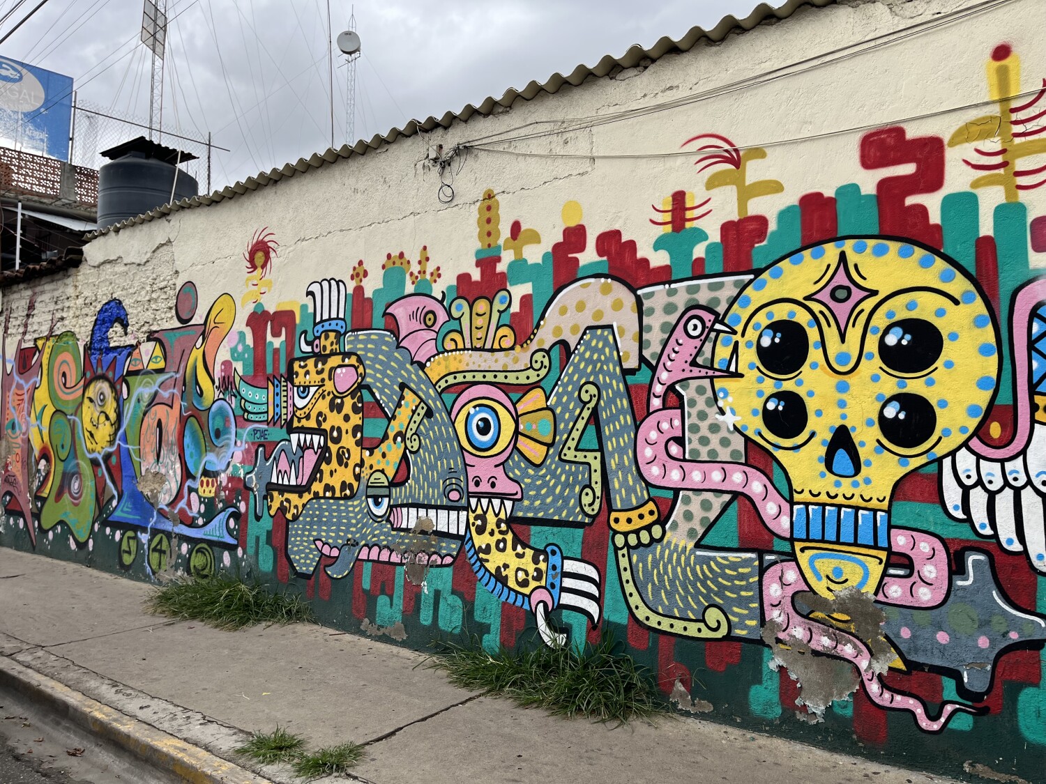 Oaxaca Art/  unknown artists