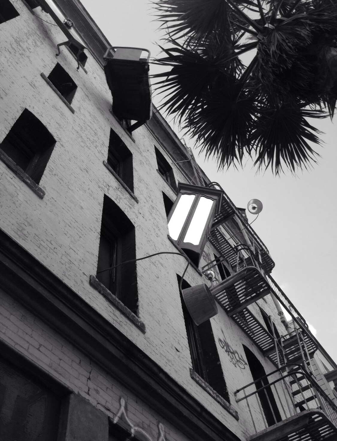 “I’m not leaving”