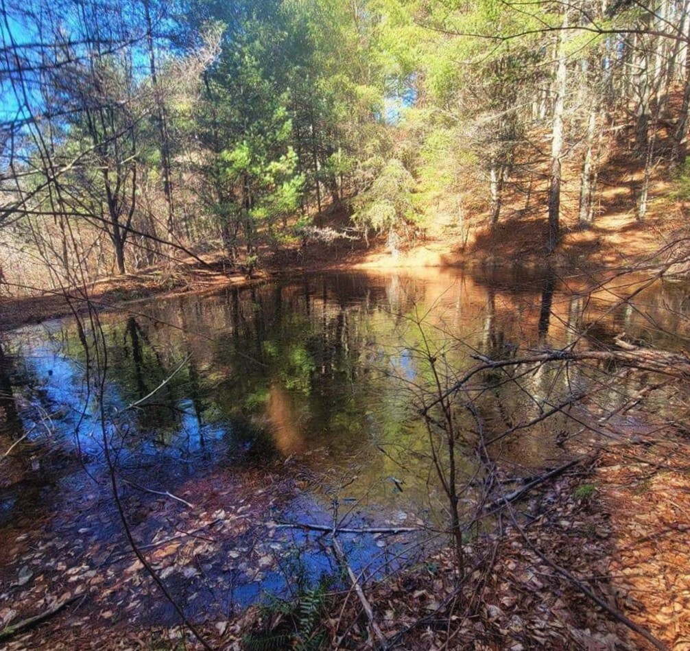 Peace and Tranquility