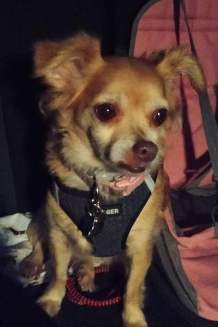 PNutt is the best!!!