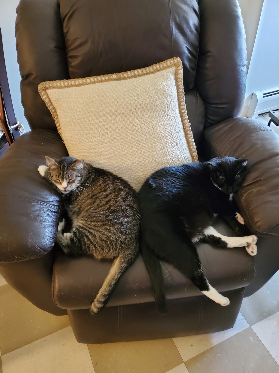 Sharing recliner