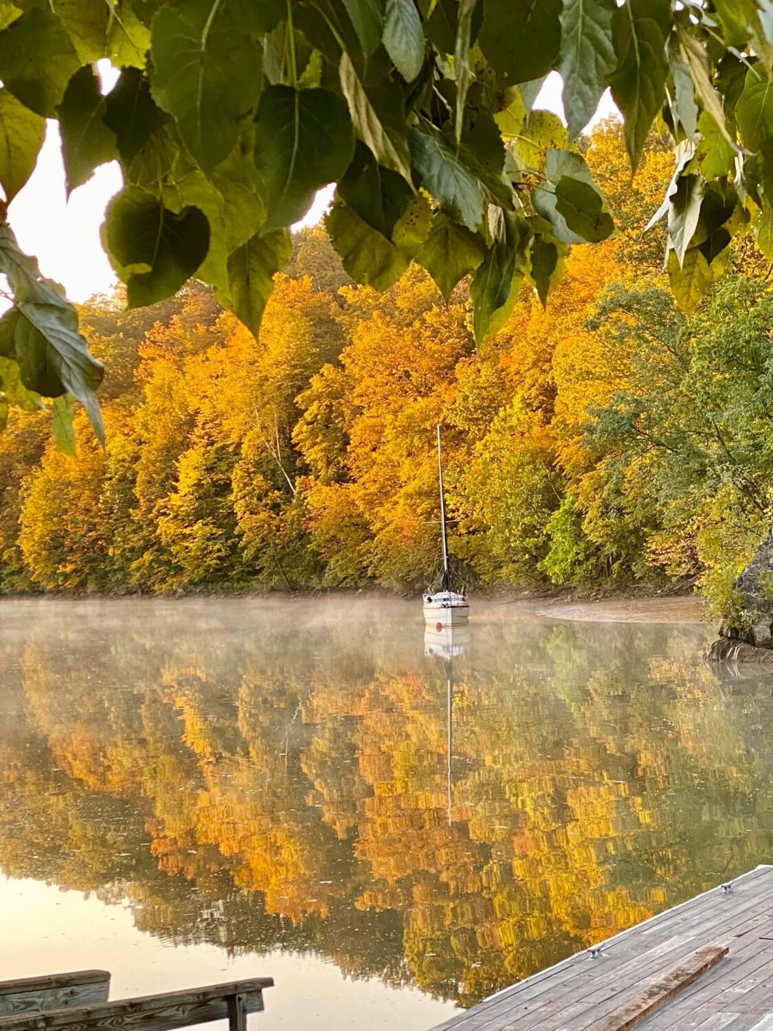 Fall Reflections