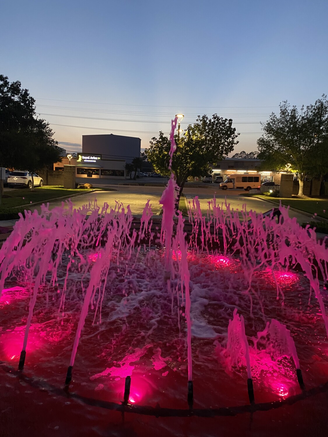 Pinking the Fountain!
