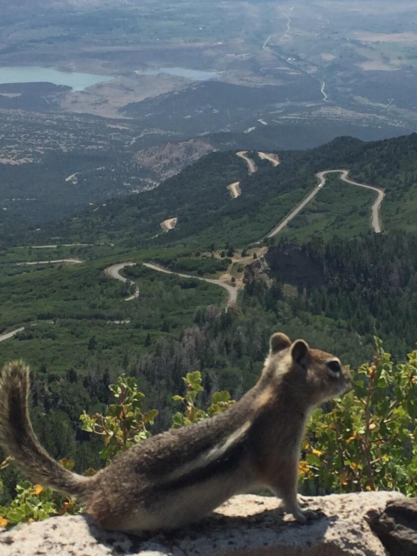 It's a big world out there!