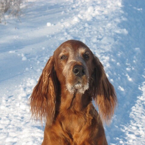 Winter Fun in the Snow!