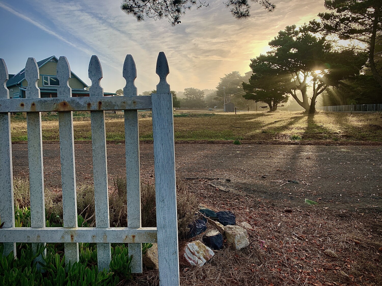 Life over the fence.