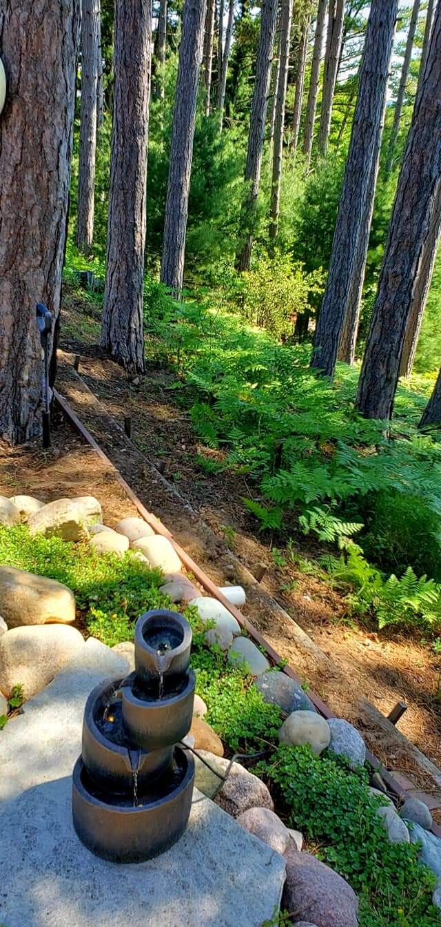 Grandpa Art's Backyard