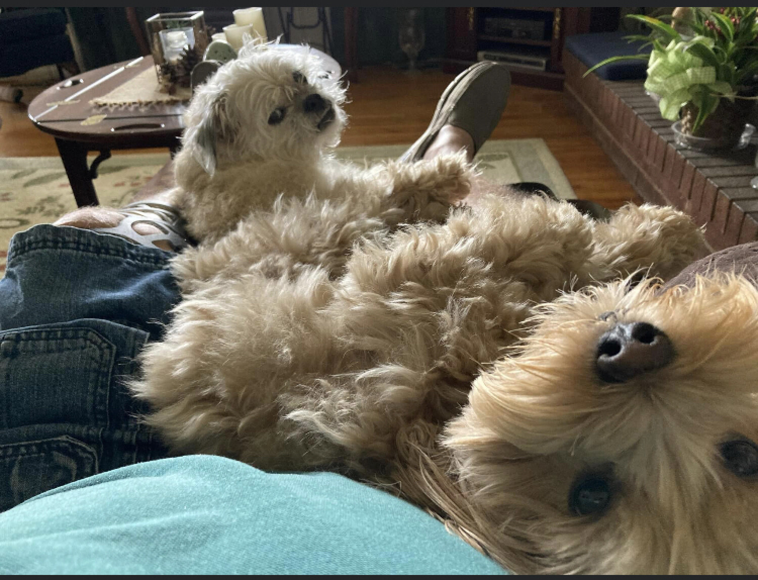 Just kicking back with my best friends on a rainy