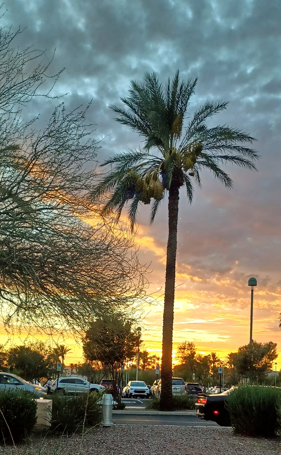 Arizona Summer Night