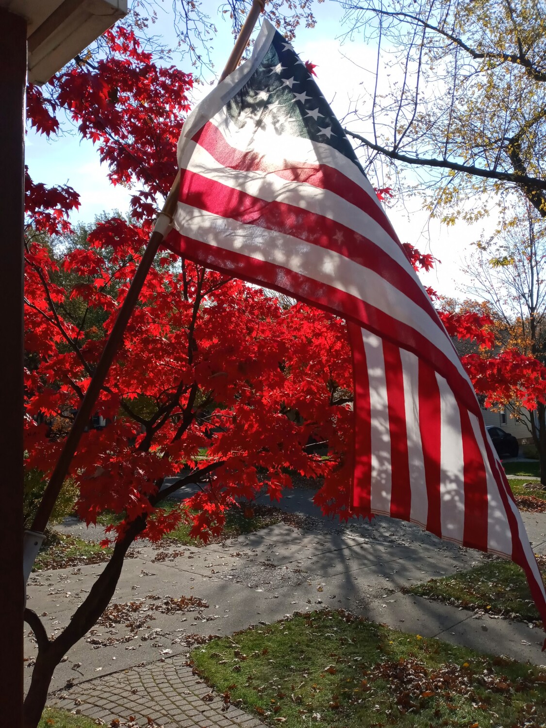 Veterans Day colors