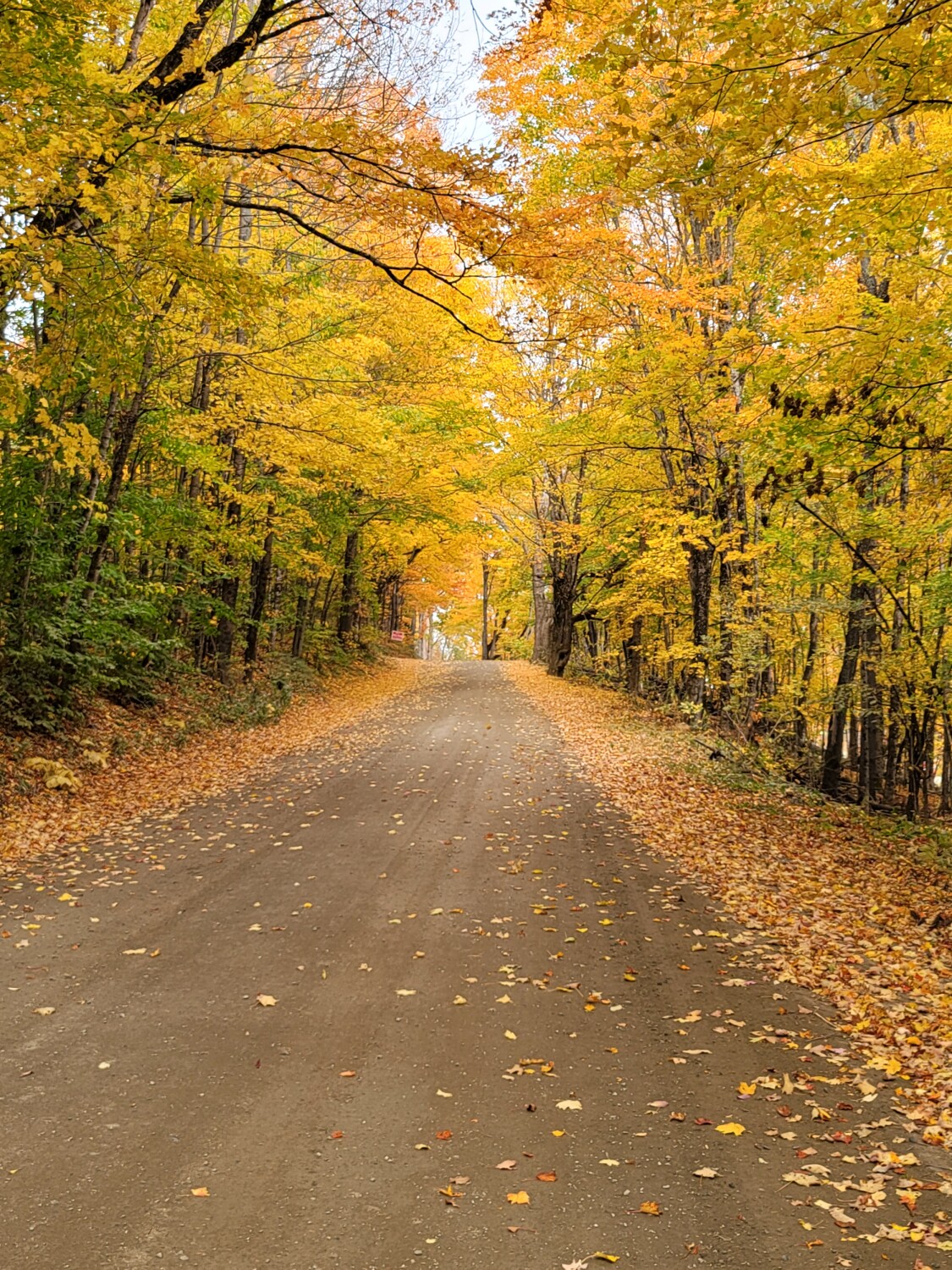 Fall in the Mountains
